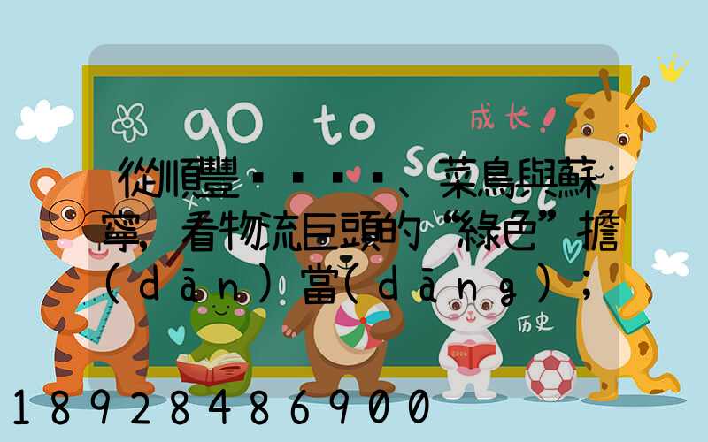 從順豐、菜鳥與蘇寧,看物流巨頭的“綠色”擔(dān)當(dāng)